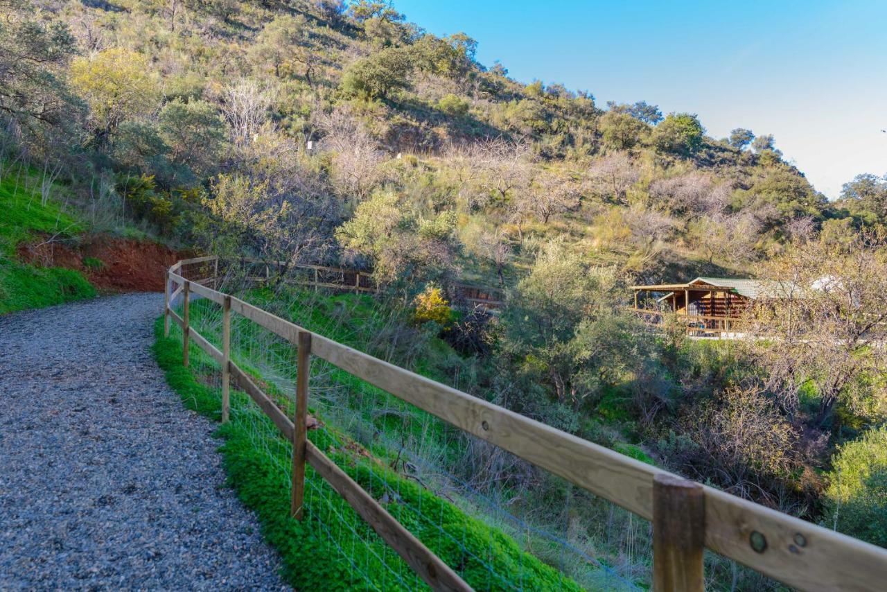 Complejo Rural El Mirador Konuk evi Málaga Dış mekan fotoğraf